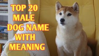 TOP 20 Most Popular Male Dog Names With Meaning [upl. by Lyssa]