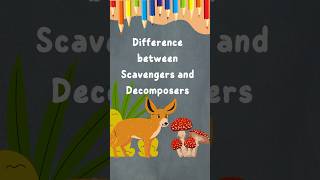 Scavengers and decomposers education science environment animals microorganisms study biology [upl. by Naman896]