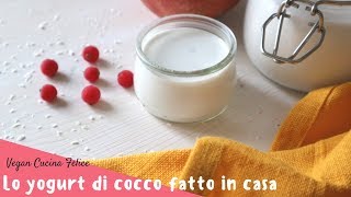 Yogurt di cocco fatto in casa facile [upl. by Ahseniuq]