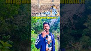 കടുവയുടെ പ്രായം അളക്കുന്നത് ഇങ്ങനെ  Periyar Tiger Reserve  shorts [upl. by Aihsital]