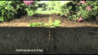 Roundup Gel Weedkiller  Gel TV Advert 2015 UK  Roundup Garden [upl. by Catie861]