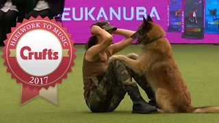 Amazing Dog Performs CPR Squats and Press Ups in Heelwork To Music Routine  Crufts 2017 [upl. by Amber]