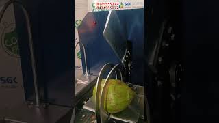 Indias Most Advanced Coconut Cutting Machine [upl. by Nongim]