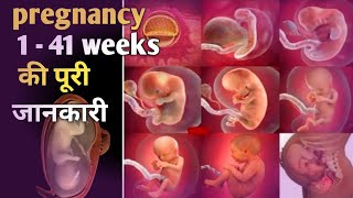 fetal development week by week [upl. by Stilwell524]