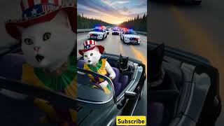 عملةهامستر تعلمصح cat automobile funny catlover animals cute cutecat coin [upl. by Ecirad]