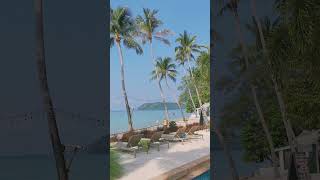 Koh Phangan Resort LimeN Soda  Koh Phangan Tajlandia kohphangan thailand vlog hotel bungalow [upl. by Aztilem161]