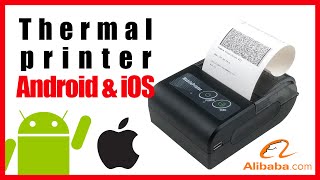 Thermal printer Bluetooth USB 58mm iPhone Android Mac Windows print PDF receipt business restaurant [upl. by Drhcir607]