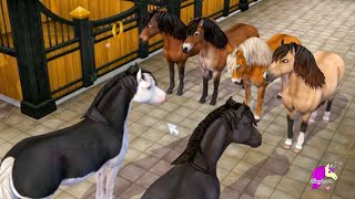 Buying All the New Gotland Ponies Star Stable Online Update Video [upl. by Marciano]