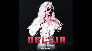 Senidah  Delija Wolkem Remix [upl. by Alcott]