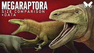 MEGARAPTORA Dinosaurs size comparison and data [upl. by Tronna]