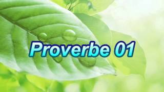 Proverbe 01 [upl. by Mommy724]