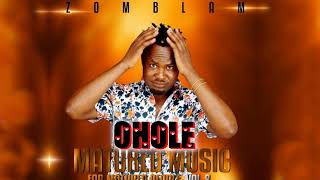 Zomblam  Ohole 2021 album [upl. by Ciredor364]