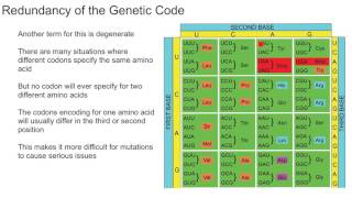 Redundancy of the Genetic Code [upl. by Idzik983]