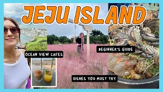 🇰🇷 JEJU TRAVEL GUIDE 3Day Itinerary by a born amp raised local Korea Diaries  Crystall Cho [upl. by Airdnaid]