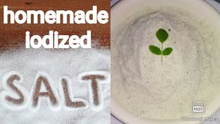 homemade iodized salt recipe  salt using drumstick leaves  iodized salt recipe  iodized salt [upl. by Flint]