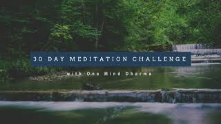 Day 1  Concentration 30 Day Meditation Challenge [upl. by Morville547]