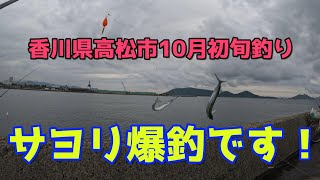 10月1日香川県高松釣り [upl. by Russ]