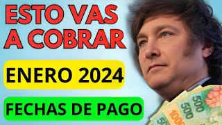 🛑 AHORA❗️BONOS y Fecha de Cobro ENERO 2024 para Jubilados Pensionados PNC PUAM AUH y SUAF ANSES [upl. by Sedruol655]