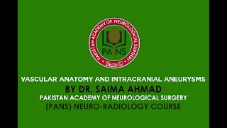 Vascular anatomy and intracranial aneurysms by Dr Saima Ahmad  PANS  Neuroradiology Course [upl. by Subocaj]