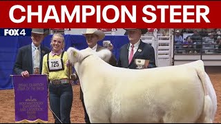 Leadfoot named grand champion at 2024 Fort Worth Stock Show amp Rodeo [upl. by Nywles]