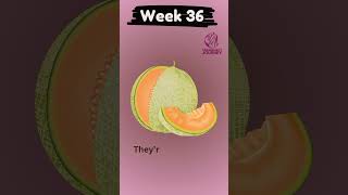 Babys Third Trimester Growth From Cauliflower to Watermelon 🍉🥭 [upl. by Romeon834]