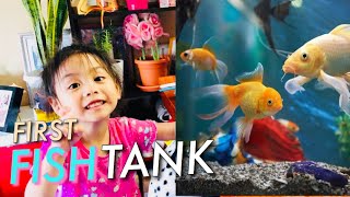 AQUARIUM FOR KIDS FIRST FISH TANK FOR BEGINNERS  Jah and Ge [upl. by Aerdnek411]