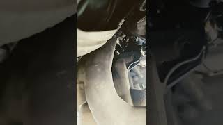 What is a Catalytic Converter What Does it do [upl. by Notnert]