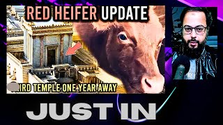 Red Heifer Third Temple amp The Rabbis who are Waiting for Messiah [upl. by Nivan]