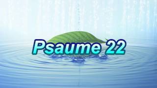 Psaume 22 [upl. by Valina164]