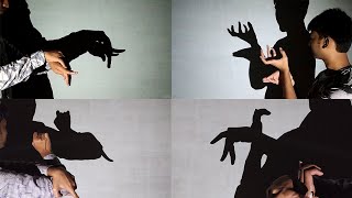 Amazing hand Shadow performance III shadowgraphy [upl. by Karina795]