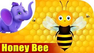 Honey Bee  A Bug Song  4K  Appu Series [upl. by Gignac571]