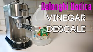 Descale DeLonghi Dedica EC680EC685 Vinegar Descale Cycle  2021 Update [upl. by Morgun]