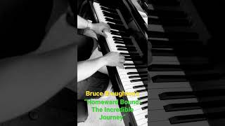 1993 Movie Classic Theme  Homeward Bound for Piano [upl. by Ahselyt]