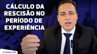 Quebra de Contrato de Trabalho Rescisão do Contrato Antes do Término de Experiência [upl. by Aihsirt]