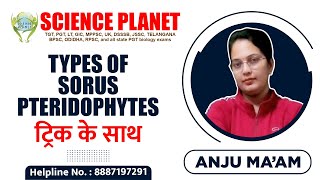 Types of Sorus Pteridophytes ट्रिक के साथ by Anju Mam of Science Planet [upl. by Normac824]