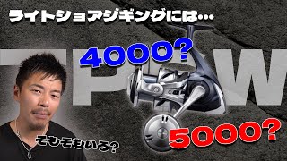 【ツインパワーSW】ライトショアジギ用の番手選びは4000？5000？ [upl. by Yenaffit406]