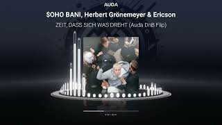 oho Bani Herbert Grönemeyer  ZEIT DASS SICH WAS DREHT Auda DnB Flip [upl. by Anitnemelc311]