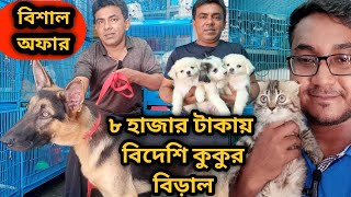 Katabon animal market in bangladeshGerman Shepherd Lhasa Apso Persian Cat Dog and cat price 2023 [upl. by Dragde]