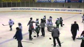 Best kids under 10 mass hockey fight [upl. by Eihcir929]