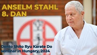 Dento Shito Ryu Hungary  2024 Anselm Stahl 8dan [upl. by Sheya]