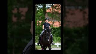 Dressage power 💪💖 subscribe horse equestrain dressage blowup [upl. by Redienhcs]