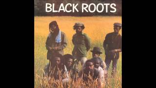 Black Roots  Black Roots full album [upl. by Euqcaj]