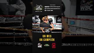 masterclass p3 Zulina quotLa Lobaquot Muñoz boxprofesional peleadebox boxeo [upl. by Tobit]