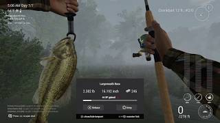 How To Catch Trophy Large Mouth Bass Easy  Neherrin River North Carolina  Tutorial 3 [upl. by Iron]