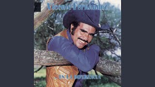 Vicente Fernández  Mi Ranchito Cover Audio [upl. by Bartram]