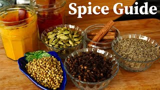 BEGINNERS GUIDE TO SPICES FOR INDIAN COOKING ESSENTIAL amp NON ESSENTIAL [upl. by Eadwine734]