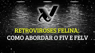 Retroviroses Felina como abordar o FIV e FeLV [upl. by Abigale]