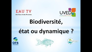 Biodiversité état ou dynamique [upl. by Ewold]