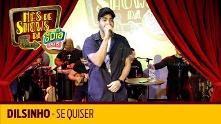 Se Quiser  Dilsinho Mês de shows [upl. by Ahsekin]