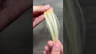 BLEACHING HAIR TO PLATINUM hairdye diyhair colorswatch beauty hairstylist [upl. by Kahler]